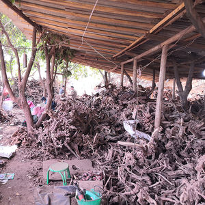 맞춤 수족관 장식 수족관 장식 - Product Image 1