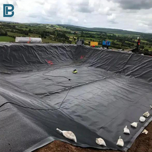 Approvisionnement d'usine 1.0mm géomembrane HDPE pour réservoirs lagunes d'irrigation étangs de jardin eau sale EPDM PP revêtement de barrage fermes piscicoles - Product Image 1