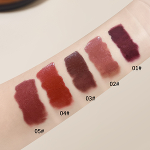 Hoge Pigment Waterdichte Langdurige Fluwelen Matte Lipgloss Set-5 Kleuren Chocolade Vloeibare Lippenstift Kit Minerale Kruideningrediënten - Product Image 6