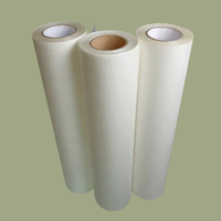 Film de transfert DTF 60*100 Hot Peel Premium Film de transfert DTF 60cm Double simple face pour l'impression de t-shirts Imprimantes DTF 33 30 Film PET