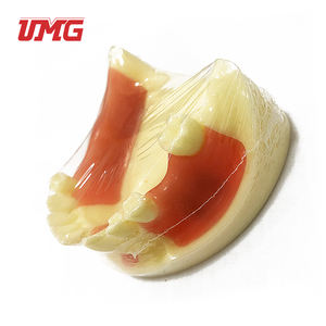 Aides pédagogiques dentaires Modèle de formation aux implants dentaires - Product Image 6