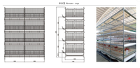 Cage à poulets de chair directe d'usine Assurance qualité Systèmes manuels ou automatisés Cage à animaux polyvalente