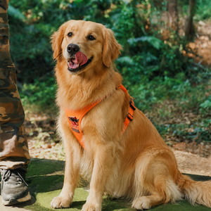 Harnais et laisse rétractables automatiques 2-en-1 anti-traction pour chiens de taille moyenne à grande - Product Image 5