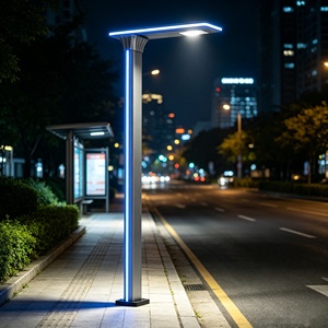 โคมไฟถนนตกแต่งกลางแจ้งกันน้ำ 30W 50W 60W 100W แบบแขนเดี่ยว แขนคู่ ไฟ LED สำหรับสวน - Product Image 1