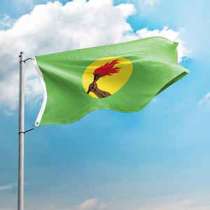 Desain kustom poliester bendera nasional Promosi sisi ganda pencetakan spanduk Zaire 3x5FT bendera untuk dekorasi dalam ruangan luar ruangan - Product Image 2