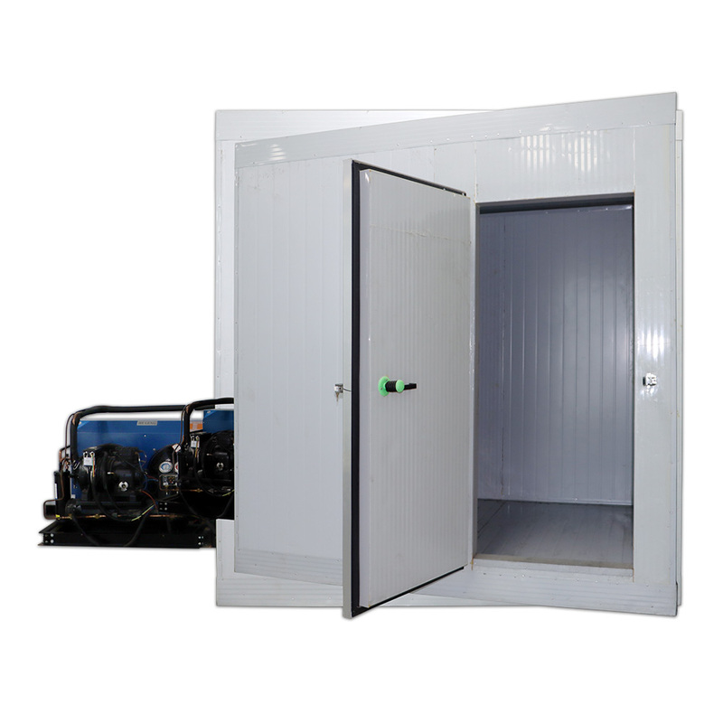 3HP 5HP Banana Ripening Rooms China