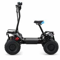 Scooter électrique tout-terrain léger, design pliable, 4000W, Quad électrique 4x4, Quad 4WD, scooter électrique avec batterie amovible