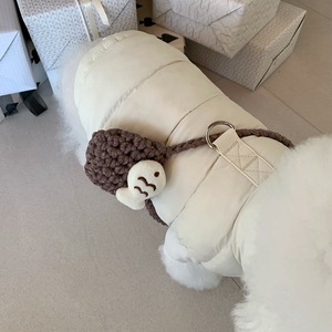 <span class=keywords><strong>Venta</strong></span> caliente en blanco ropa para mascotas algodón acolchado perro Otoño Invierno Dachshund abrigo personalizado perro abrigo al por mayor - Product Image 2