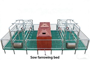 Cama de Parto para Cerdas, Equipo de Crí<span class=keywords><strong>a</strong></span> de Cerdos, Corrales de Parto para Cerdas en <span class=keywords><strong>Venta</strong></span>, Jaulas de Parto - Product Image 2