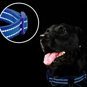 ポリエステルウェビングネオプレンパッド入りソフト快適な使いやすいクラシック犬の首輪反射 - Product Image 3