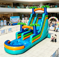 Toboggan aquatique gonflable en PVC à double voie, adapté aux enfants et aux adultes, disponible à la location, piscine, couleur et taille personnalisables, marque Dacheng