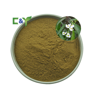 Commercio all'ingrosso <span class=keywords><strong>Sagittaria</strong></span> Trifolia in polvere <span class=keywords><strong>Sagittaria</strong></span> Trifolia estratto <span class=keywords><strong>Sagittaria</strong></span> Trifolia estratto in polvere con sano - Product Image 1