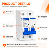 Disjoncteur à boîtier moulé NXB-125 courbe D 63A 80A 100A 125A pour contrôle industriel et protection de moteur - Approvisionnement en gros