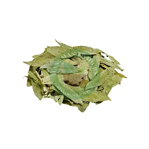 Proveedor Mayorista Hanuman Traders, Extracto Natural de Hojas de Senna, Suministro a Granel, Envasado al Vacío, Precio Competitivo, Grado A - Product Image 1