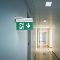 Panneau de signalisation d'urgence LED SMD à bas prix, installations en surface/sur toit/encastrées, batterie LiFePO4, indice de protection IP20, 3 heures d'autonomie en cas d'urgence