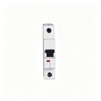 Nouveau disjoncteur de précision industriel S201 S202 S203 C-Curve MCB 6A-63A 6kA, capacité de coupure 230/400V AC, module de disjoncteur de précision