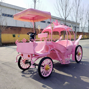 Stunning Electric Horseless Carriage for Wedding Ceremony Luxury Wedding Buggy English Style Sightseeing <b>Pumpkin</b> coach - Product Image 1