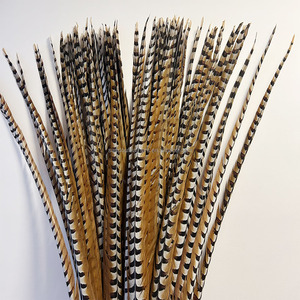 Plumes de queue de faisan naturelles Reeves Venery, 140 cm de long, pour usage décoratif, mariages, artisanat, costumes, fêtes, carnaval, haute qualité - Product Image 6