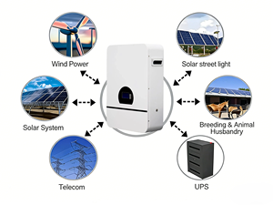 แบตเตอรี่ลิเธียมไอออน LiFePO4 แบบติดผนัง 51.2V 314Ah 15kWh สำหรับเก็บพลังงานภายในบ้านแบบออฟกริด/ไฮบริด  6000 รอบการใช้งาน - Product Image 4