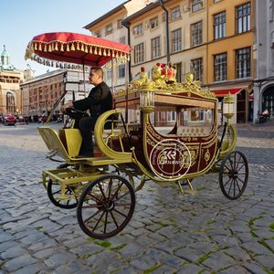 Carruaje de Cenicienta de Lujo 2025, Carruaje de Caballos de Princesa en Venta, Fabricantes de Carruajes Reales Dorados - Product Image 3