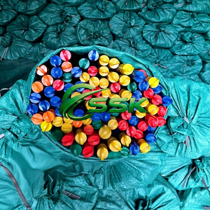 Ensemble balai et pelle portables écologiques en plastique fabriqués au Vietnam avec poils à dents et manche en plastique pour le nettoyage des meubles et de la maison - Product Image 1