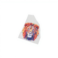 Láminas de Transferencia Térmica Instantánea DTF A4/A3, PET de Alta Calidad para Impresión de Ropa, Papel de Transferencia para Impresión Digital 13x19
