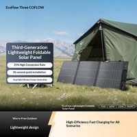 Panneau solaire léger EF ECOFLOW, pliable, portable et haute efficacité pour la production d'énergie en camping en plein air