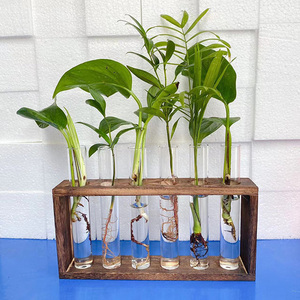 Hot Classic Desktop/<b>Wall</b> Hanging Live Plant Propagation Station Planters Glass Wood Tubes Hydroponic Vase Air Planter Garden - Product Image 2