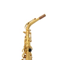 Brass Alto Saxophone E-Tone Beginner Performance Test Wind Instrument