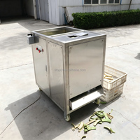 Semi-automatische groene bananen schilmachine, groene plantain gemengde schiller, fruit schilmachine voor voedselverwerking met CE-certificering