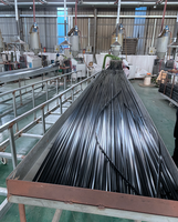 Extrudeuse de nylon top PA66 gf25, rayures thermiques de plastification, en nylon, ligne de production de machine