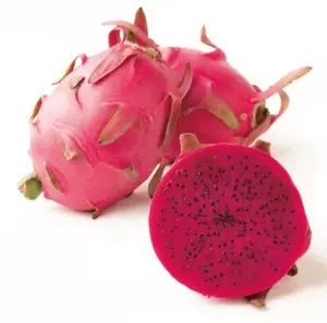 Пищевой лиофилизированный красный дракон фруктовый сок порошок - Product Image 4