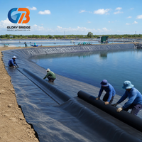 Géomembrane HDPE imperméable haute résistance à la traction, feuille anti-infiltration pour la protection des levées et des digues