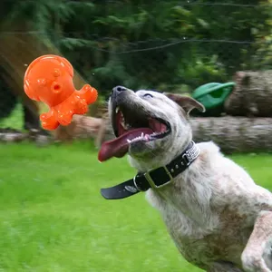 Tpr ऑक्टोपस कुत्ते चउ खिलौना के साथ-आक्रामक चबाने, पिल्ला टेथिथिन, पालतू जानवरों की आपूर्ति - Product Image 5