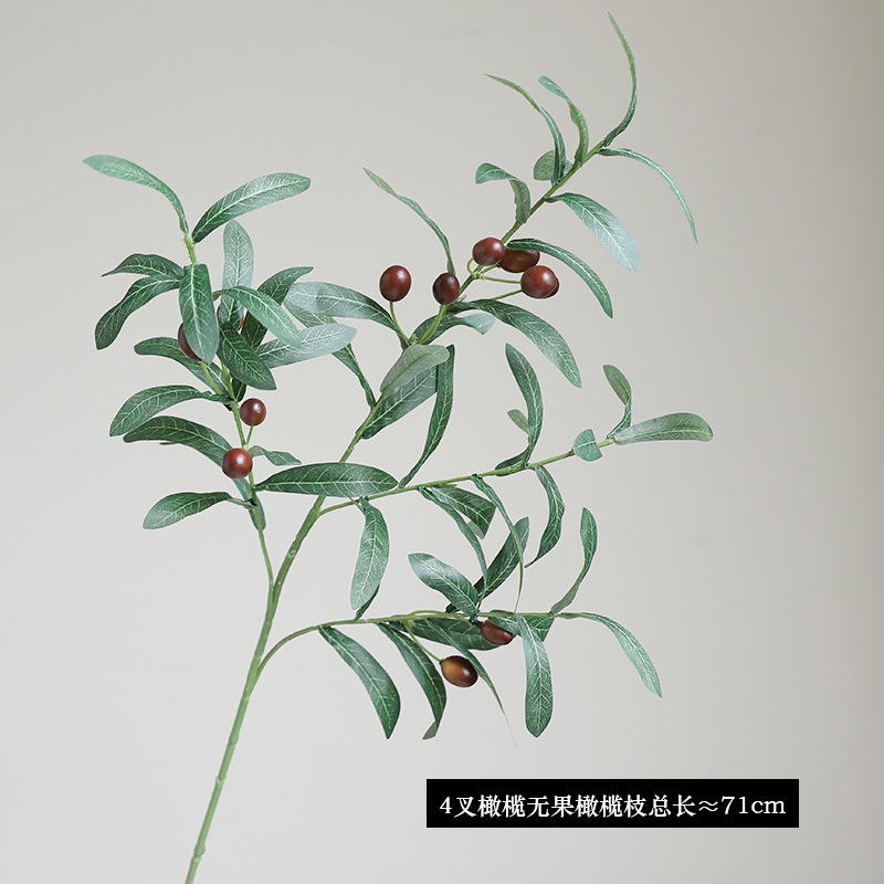 71 cm avec des fruits