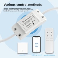 Module de commutateur Wifi à commande vocale Intelligent Yiweilian Télécommande sans fil Alexa Via l'application Yiweilian 10A/16A 220V OEM ODM