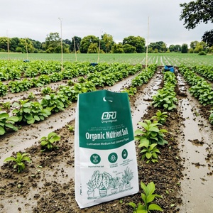 Custom 25kg Industrial <b>Bags</b> for Fertilizers Minerals <b>Soil</b> Packaging UV Resistant Waterproof Heavy Duty Recyclable PP Woven <b>Bags</b> - Product Image 1