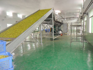 Conveniente, eficiente, totalmente automático, cinta transportadora de acero inoxidable, secador de túnel de microondas PLC para procesamiento de alimentos de alta - Product Image 5