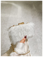 Sacs de soirée faits à la main pour femmes couverture de plumes de texture de Dacron avec pochette rigide de conception sensorielle