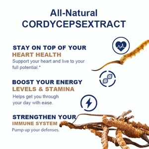 OEM/ODM Marca Privada Haosen Extracto de Cordyceps en Gotas, Potenciador de Energía Cerebral y <span class=keywords><strong>Memoria</strong></span> para Adultos, Líquido Oral de 60ml - Product Image 6