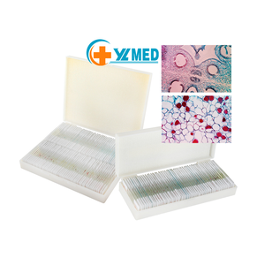 Meistverkaufte Farbige Histologie-Objektträger Universitätsbedarf 100 Normale Gewebesektionen Menschliches Blutfilm Vorbereitete Objektträger - Product Image 1