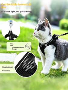 Ensemble laisse et harnais pour petits chiens et chats, rubans en nylon écologiques réfléchissants lumineux, décoration anti-casse, design respirant - Product Image 2
