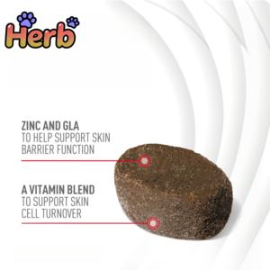 Compléments alimentaires pour animaux de compagnie en marque blanche OEM/ODM, compléments alimentaires personnalisés en marque blanche pour la santé de la peau et du pelage, friandises molles pour la santé des chiens et compléments alimentaires - Product Image 2