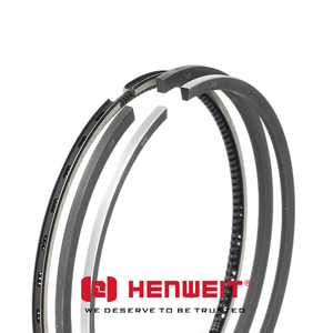 Segment de piston moteur 8060 103mm, composants moteur OEM 79037491 1902399 1930005 08-783900-00, pour FIA IVECO - Product Image 2