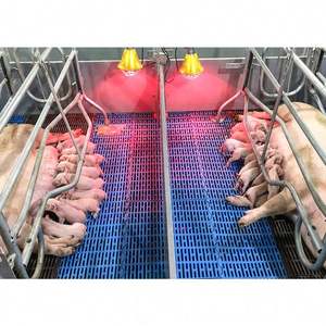Lattes de sol professionnelles pour porcs Plancher en plastique pour porcs Ferme Fabriqué en Chine - Product Image 4