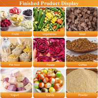 Lyophilisateur industriel automatique MY pour lait maternel, sécheur par congélation sous vide de 5 kg pour fruits et légumes