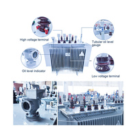 Transformador de Distribución Trifásico de Alta Tensión Sumergido en Aceite LEINENG IEC 10kv-35kv/0.4kv