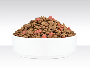 Croquettes sèches à haute teneur en protéines et à faible teneur en glucides pour chiens disponibles en gros avec des services de production OEM - Product Image 4