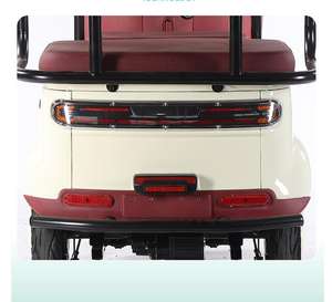 价格实惠的72V 800W三轮自行车-CE/FCC双重认证 - Product Image 4