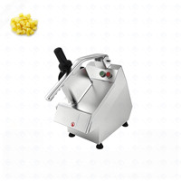 Multifunctionele elektrische groentesnijder/commerciële aardappel- en uien snijmachine/groente- en fruitsnij- en raspmachine